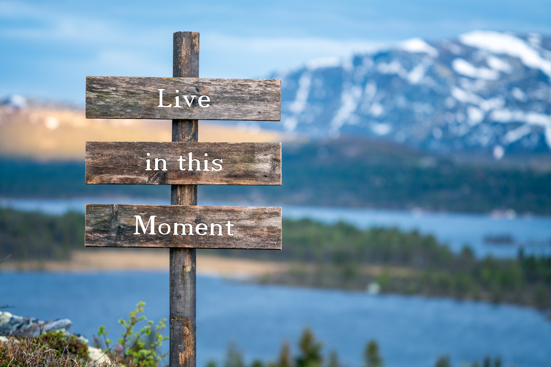 Holzschild mit Aufschrift Live in this Moment | Akustikpaneele Eiche Natur